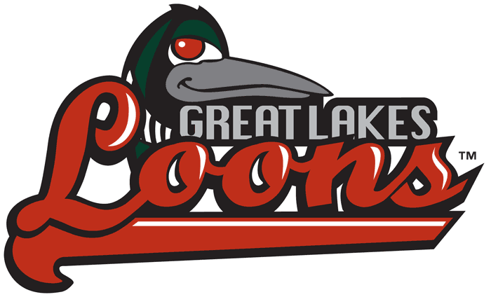 Great Lakes Loons iron ons
